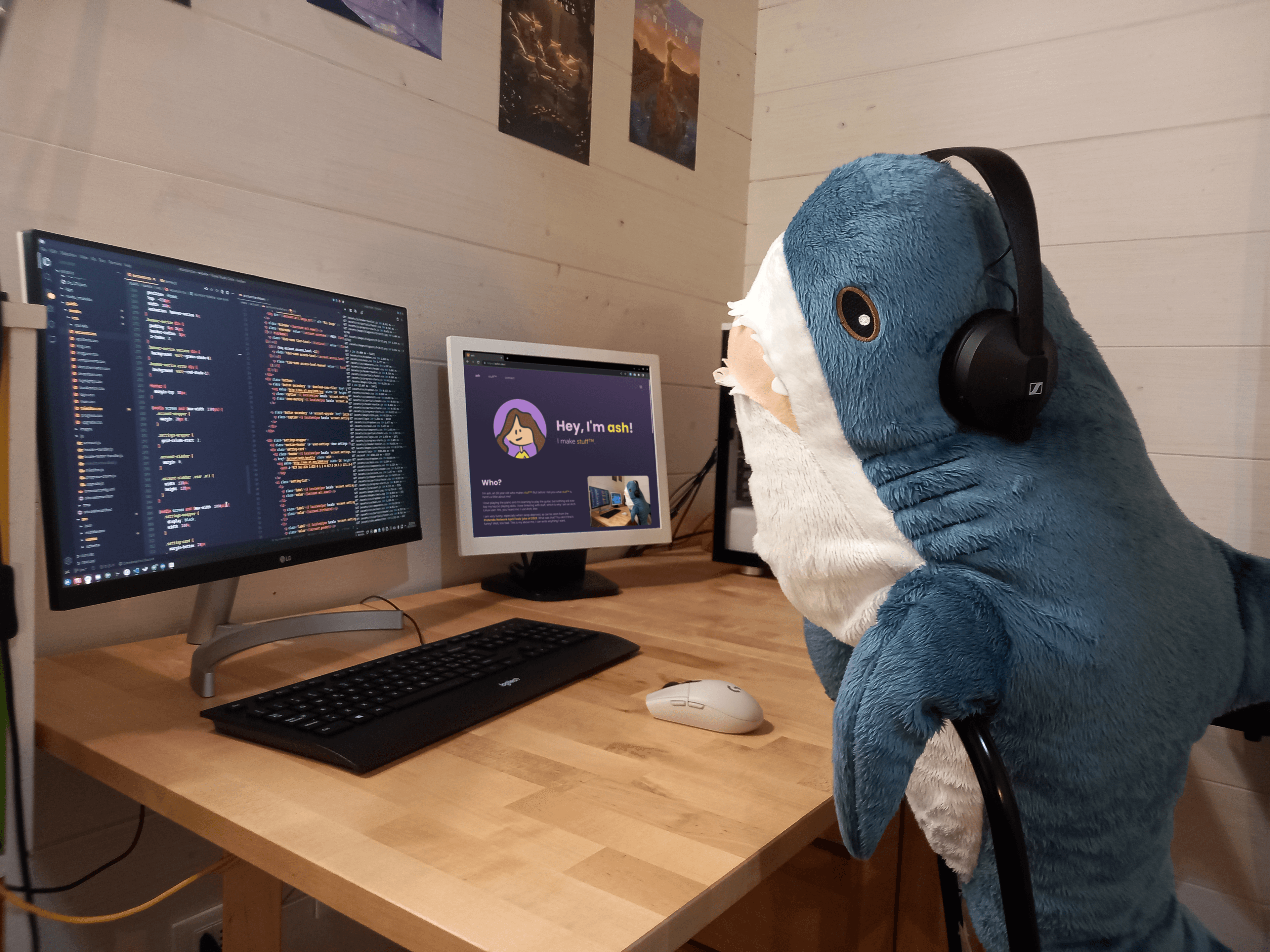 A picture of a Blåhaj (a stuffed shark plush from IKEA) wearing headphones and sitting at a desk. The shark appears to be working on some code on their main monitor, and they have this website open on their secondary monitor